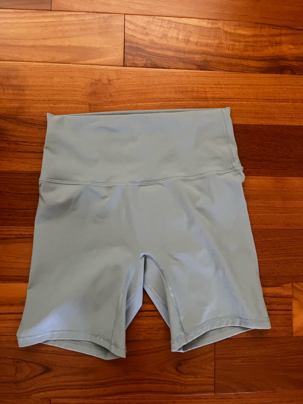 Iwa sage shorts! Never worn BNWT
